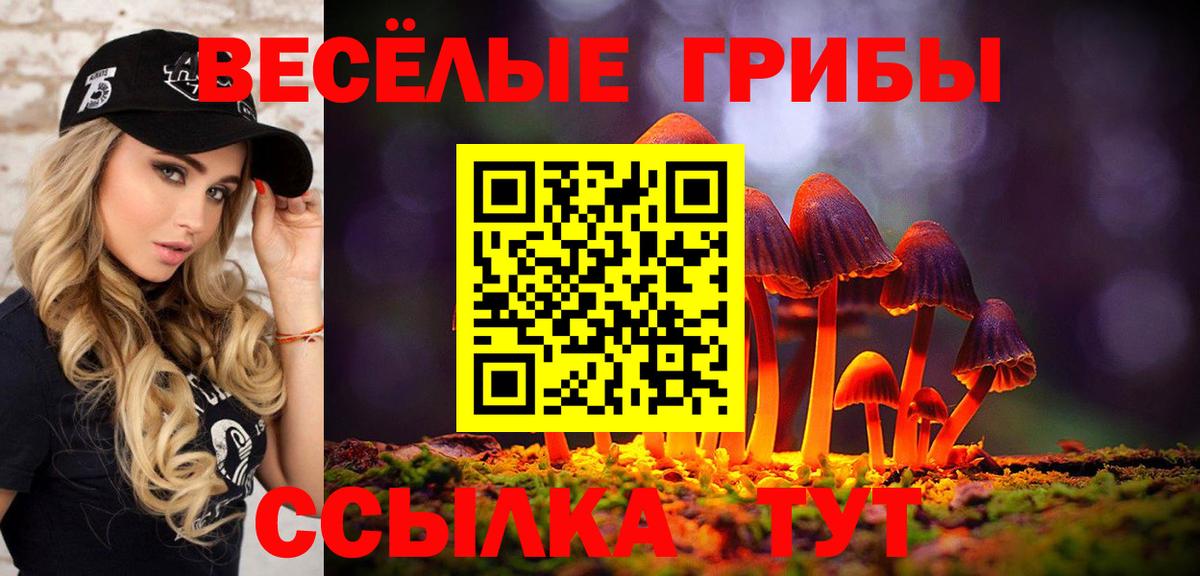 Псилоцибиновые грибы Psilocybine cubensis Нижний Тагил